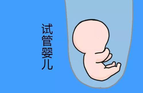 一般不妊検査・タイミング療法