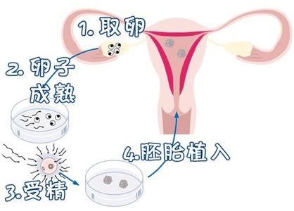 神崎医師